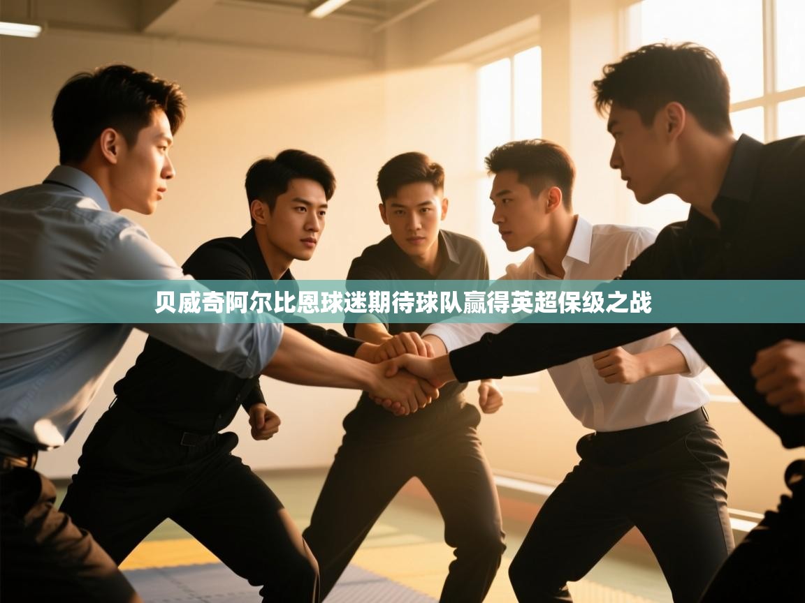 开云体育无法登录解决方案-贝威奇阿尔比恩球迷期待球队赢得英超保级之战  第4张