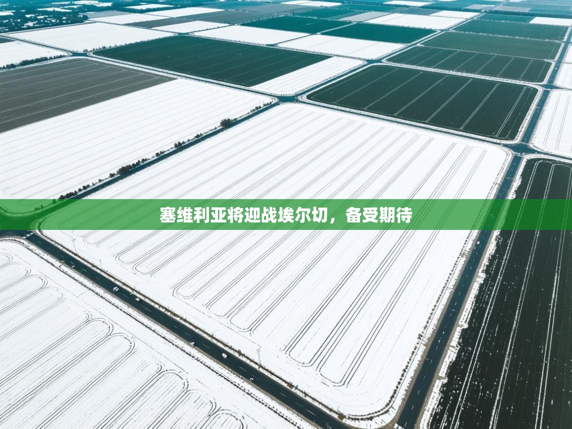 开云·体育app中国官方网站-塞维利亚将迎战埃尔切,备受期待 第1张