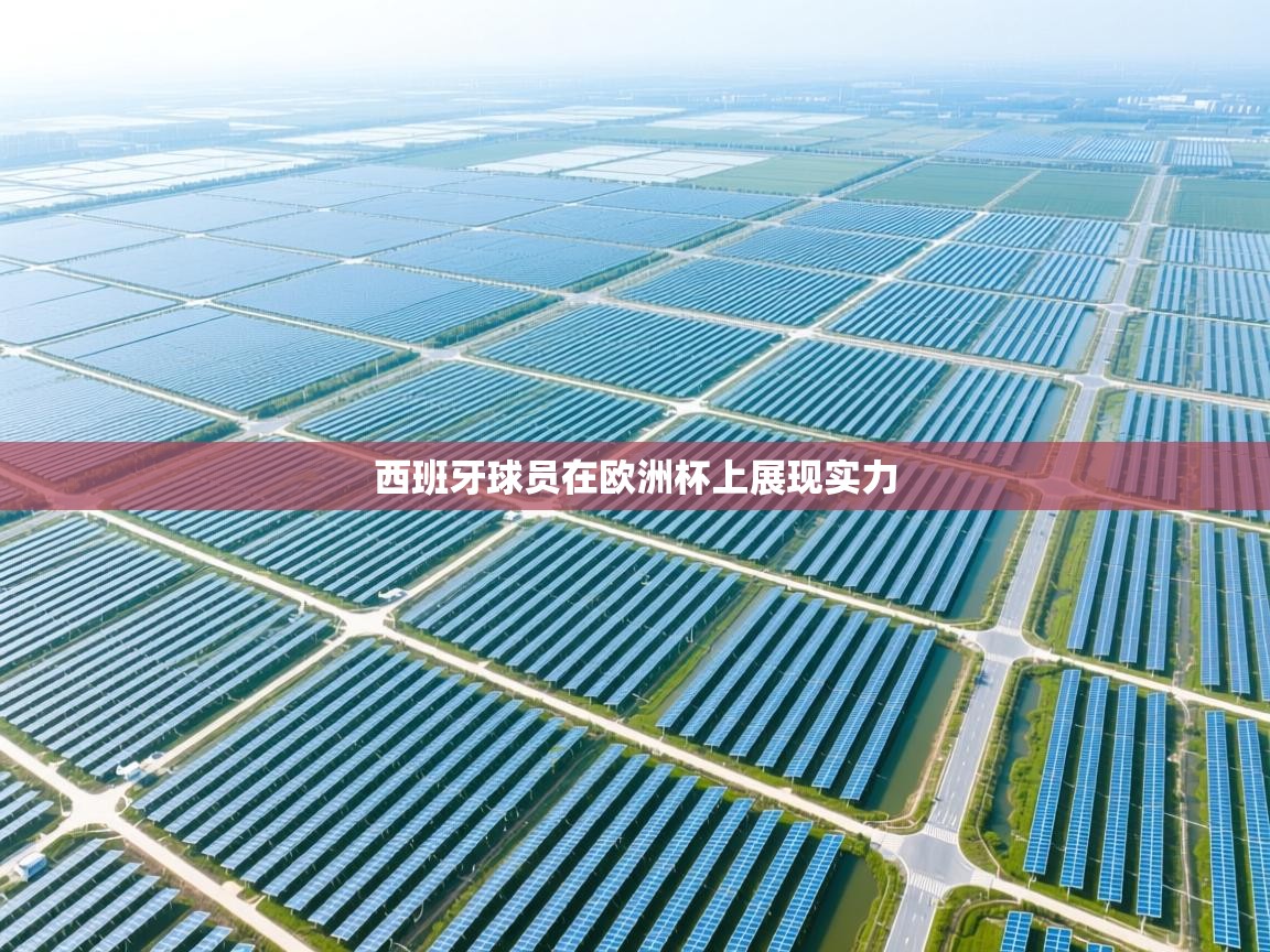 开云体育app下载安装免费-西班牙球员在欧洲杯上展现实力  第2张