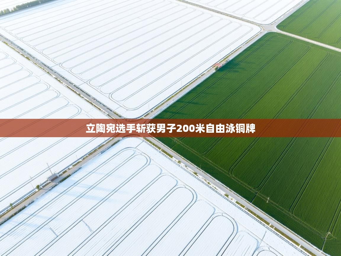 云开体育-立陶宛选手斩获男子200米自由泳铜牌 第3张