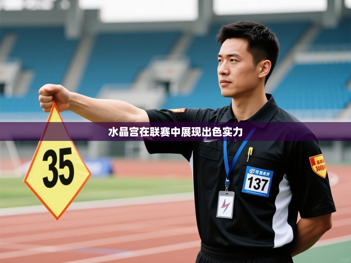 开云体育app官网入口网页版-水晶宫在联赛中展现出色实力  第3张