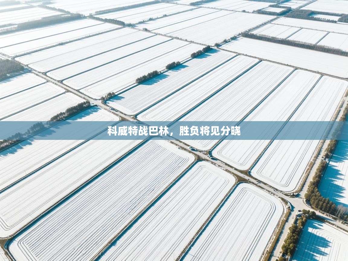 开云体育工单提交入口-科威特战巴林,胜负将见分晓 第4张