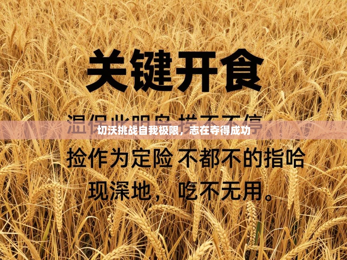 开云体育入口客服-切沃挑战自我极限，志在夺得成功  第3张