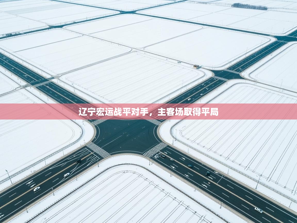 开云体育app下载-辽宁宏运战平对手,主客场取得平局 第2张