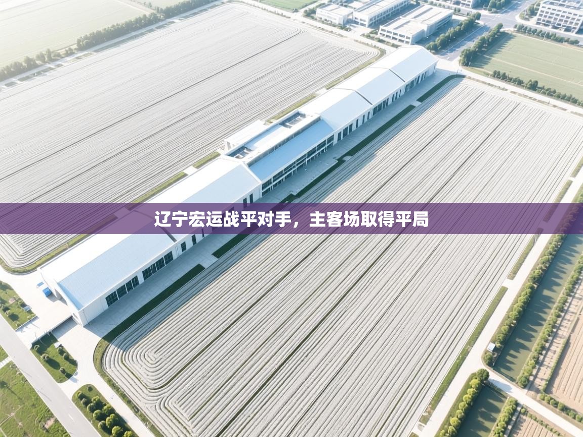 开云体育app下载-辽宁宏运战平对手,主客场取得平局 第4张