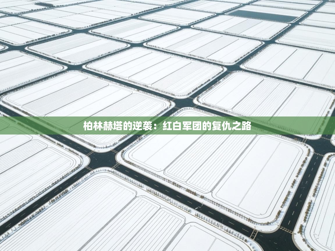 kaiyun体育入口-柏林赫塔的逆袭：红白军团的复仇之路  第1张