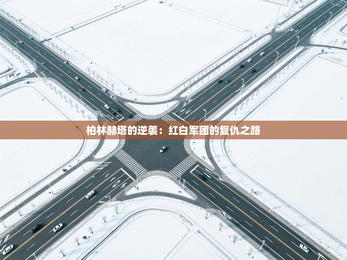 kaiyun体育入口-柏林赫塔的逆袭：红白军团的复仇之路  第4张