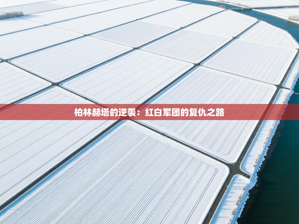 kaiyun体育入口-柏林赫塔的逆袭：红白军团的复仇之路  第3张