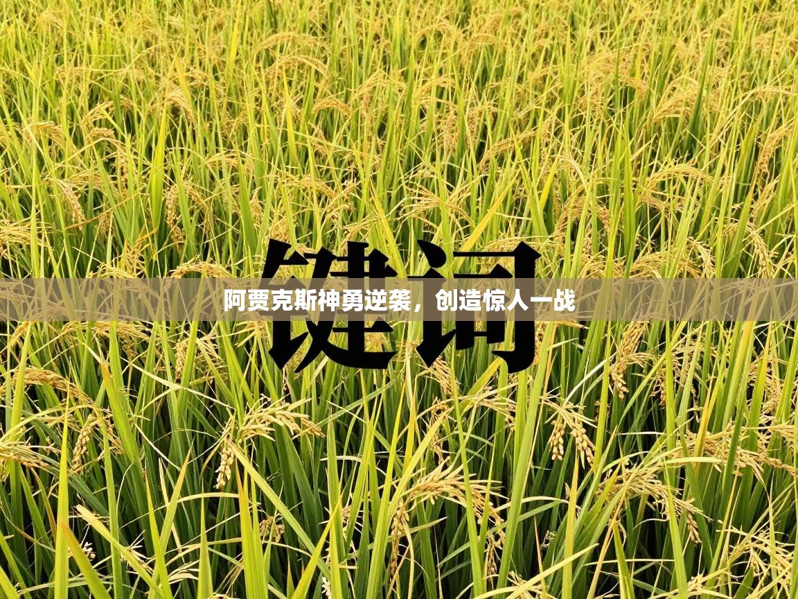 开云体育入口注册-阿贾克斯神勇逆袭,创造惊人一战 第2张