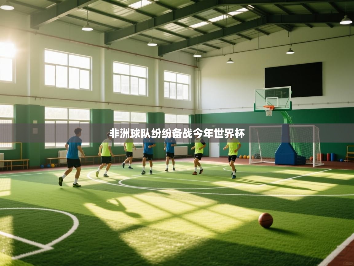 开云体育app评价-非洲球队纷纷备战今年世界杯 第3张