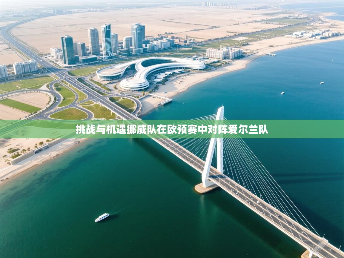 kaiyun开运·体育官方网站-挑战与机遇挪威队在欧预赛中对阵爱尔兰队 第2张