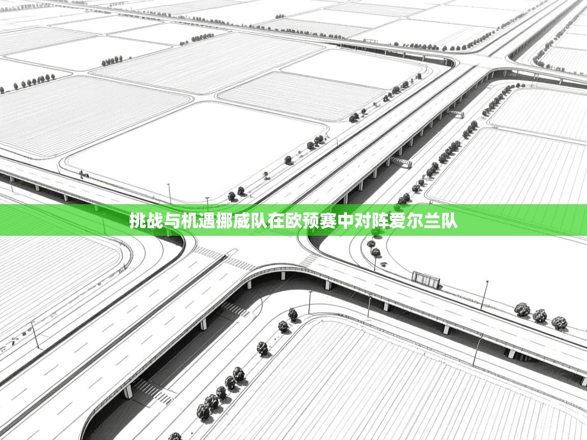 kaiyun开运·体育官方网站-挑战与机遇挪威队在欧预赛中对阵爱尔兰队 第4张