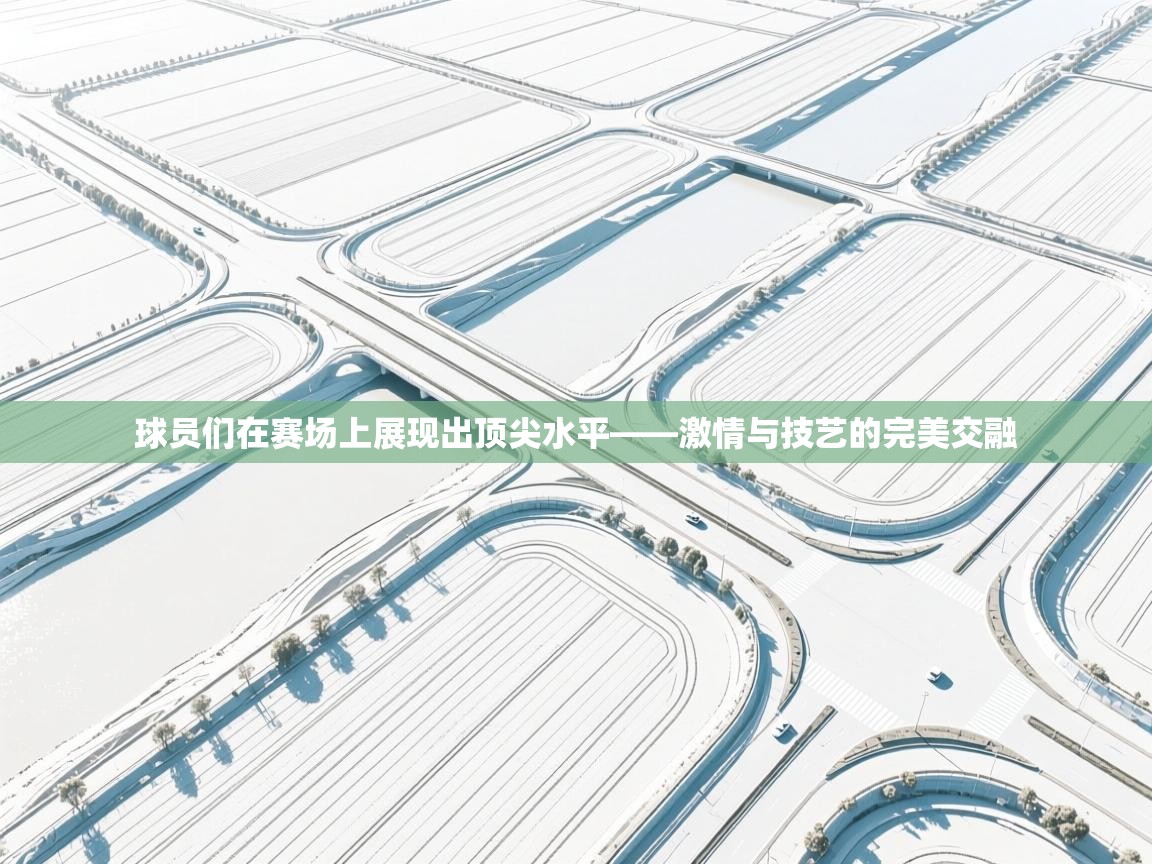 开云体育苹果版下载-球员们在赛场上展现出顶尖水平——激情与技艺的完美交融 第4张