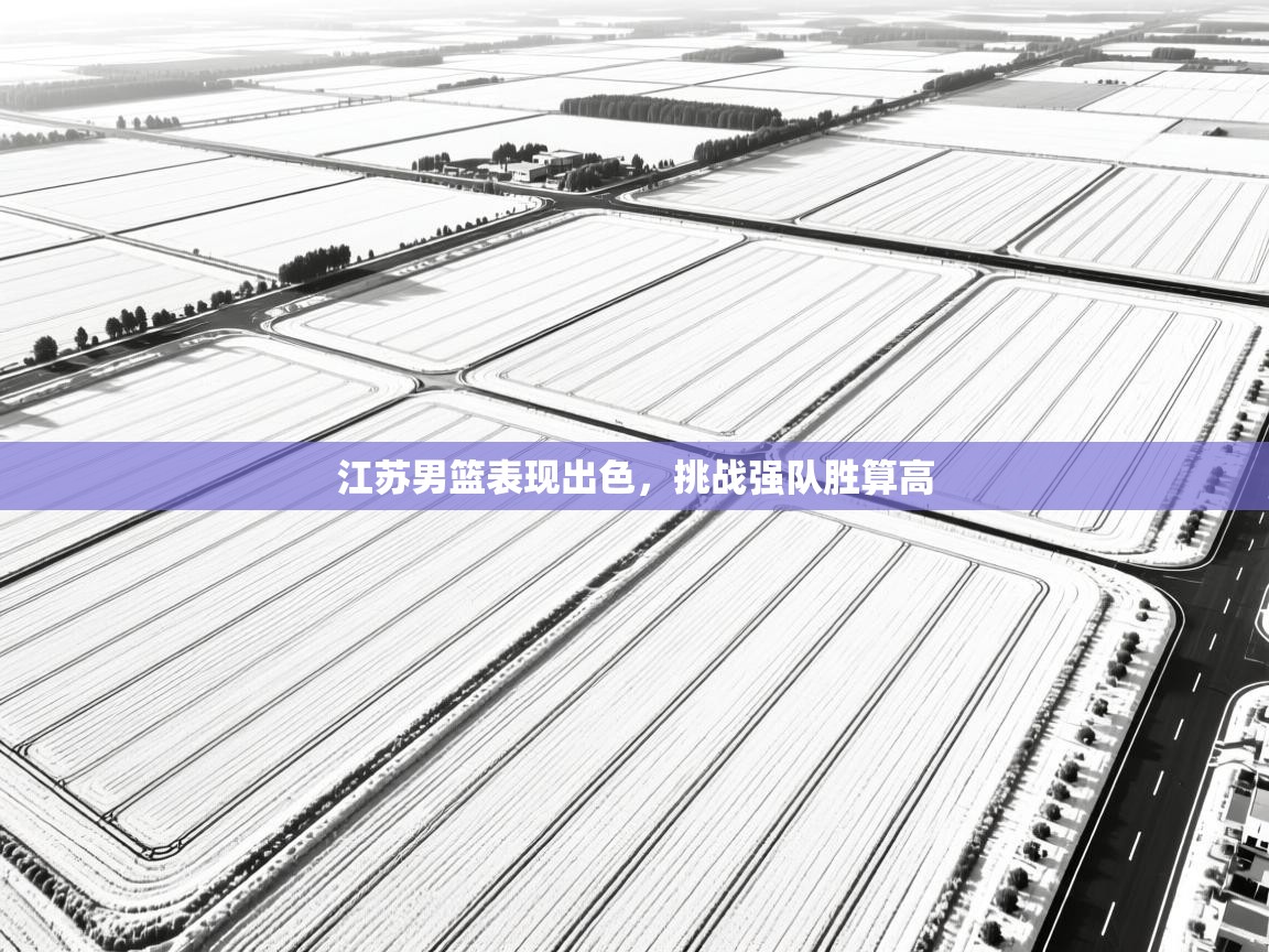 kaiyun开运·体育官方网站-江苏男篮表现出色，挑战强队胜算高  第1张